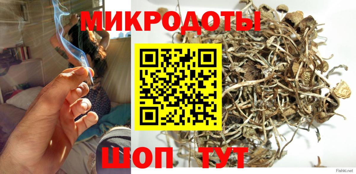 Сухой Лог  Галлюциногенные грибы ЛСД  Псилоцибиновые грибы мухоморы  Вход с VPN 