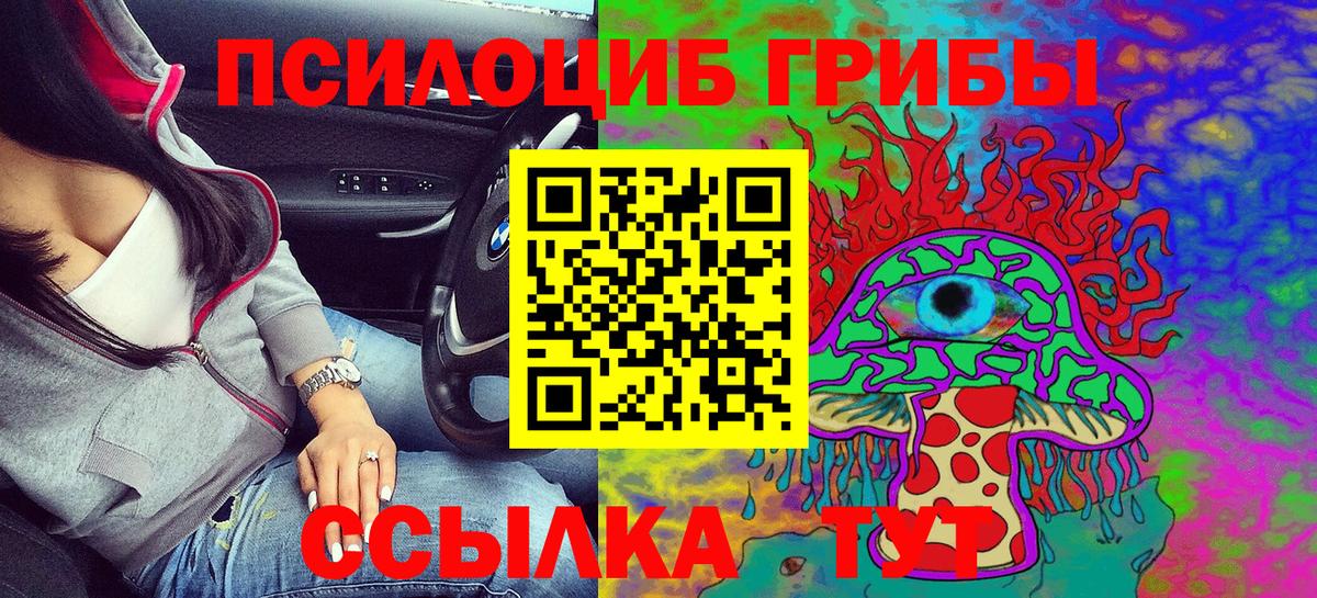 Псилоцибиновые грибы мицелий Сухой Лог